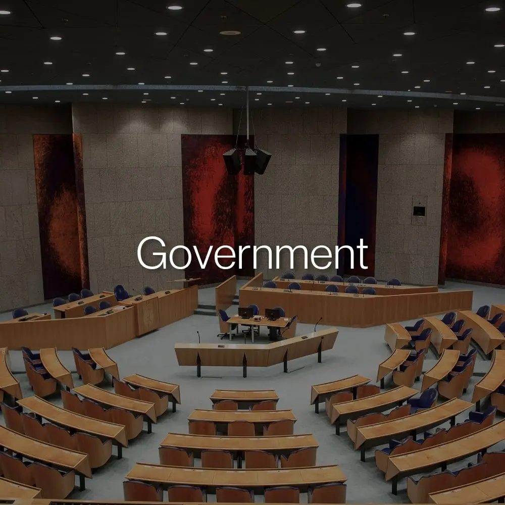 06 government