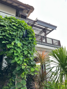 four season jimbaran bali 10